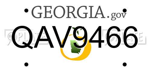 QAV9466 Georgia License Plate