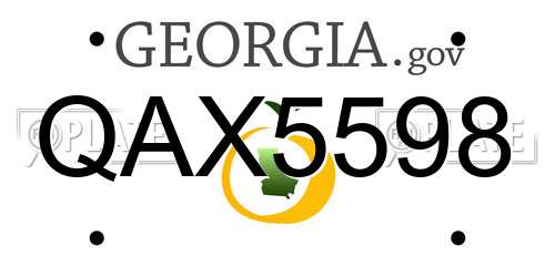 QAX5598 Georgia License Plate
