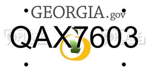 QAX7603 Georgia License Plate