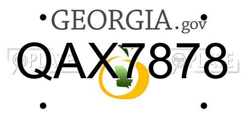 QAX7878 Georgia License Plate