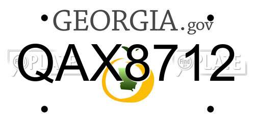 QAX8712 Georgia License Plate