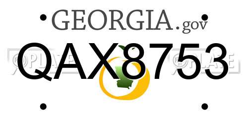 QAX8753 Georgia License Plate