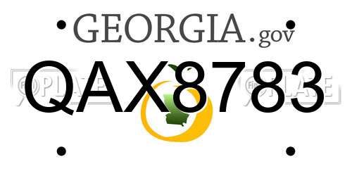 QAX8783 Georgia License Plate