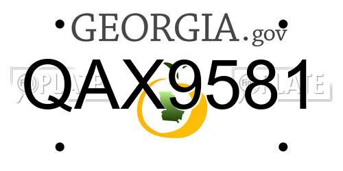 QAX9581 Georgia License Plate