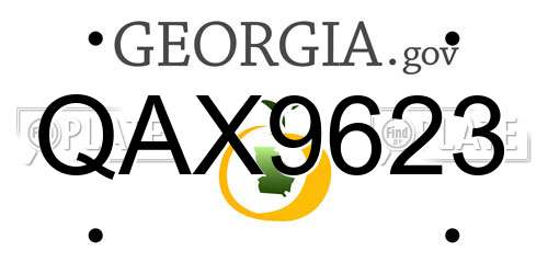 QAX9623 Georgia License Plate