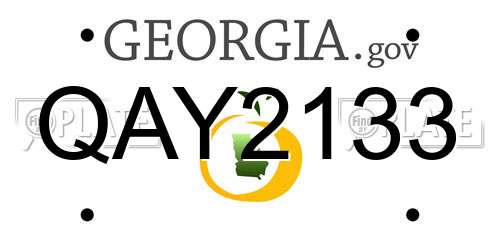 QAY2133 Georgia License Plate