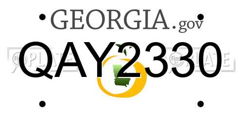 QAY2330 Georgia License Plate