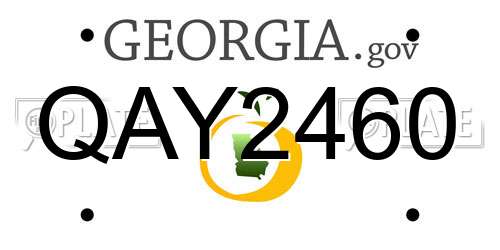 QAY2460 Georgia License Plate