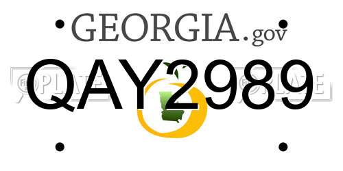 QAY2989 Georgia License Plate