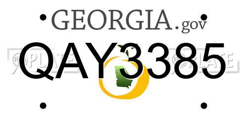 QAY3385 Georgia License Plate