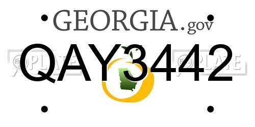QAY3442 Georgia License Plate