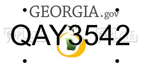 QAY3542 Georgia License Plate
