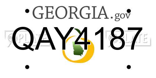 QAY4187 Georgia License Plate