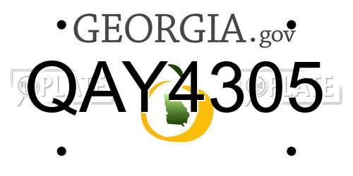 QAY4305 Georgia License Plate