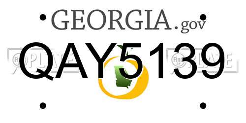 QAY5139 Georgia License Plate