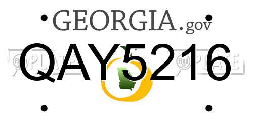 QAY5216 Georgia License Plate