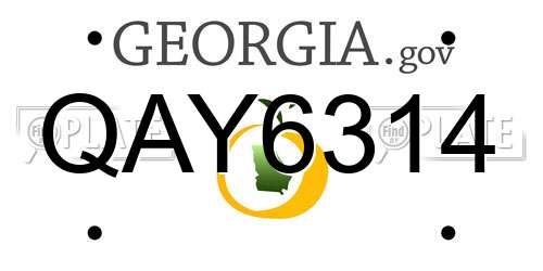 QAY6314 Georgia License Plate