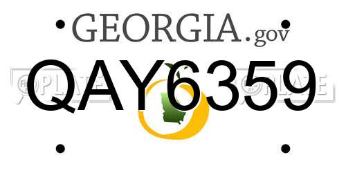 QAY6359 Georgia License Plate