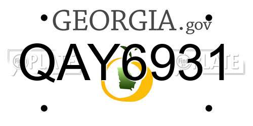 QAY6931 Georgia License Plate