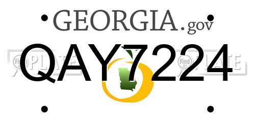QAY7224 Georgia License Plate