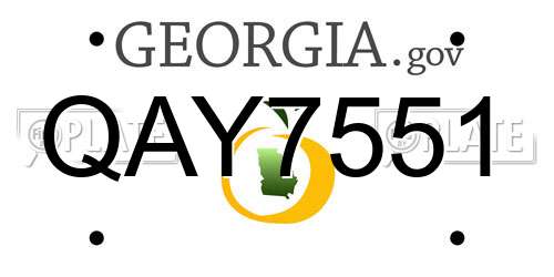 QAY7551 Georgia License Plate