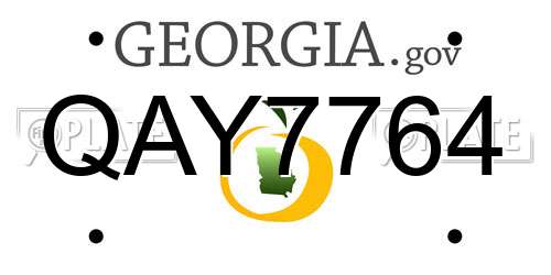 QAY7764 Georgia License Plate