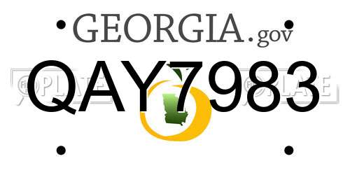 QAY7983 Georgia License Plate