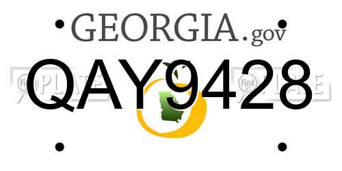 QAY9428 Georgia License Plate