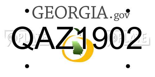 QAZ1902 Georgia License Plate