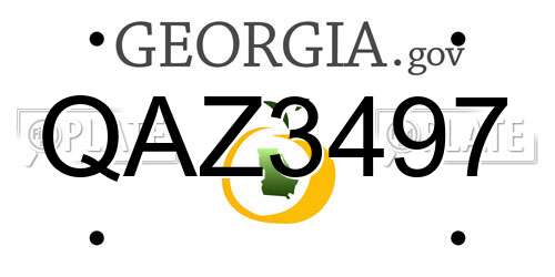 QAZ3497 Georgia License Plate