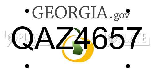 QAZ4657 Georgia License Plate