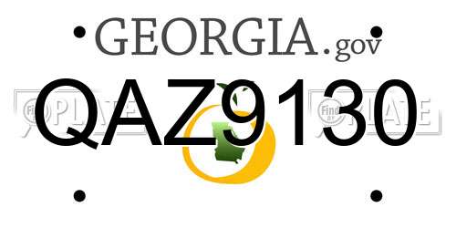 QAZ9130 Georgia License Plate