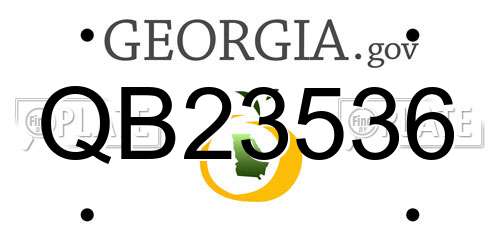 QB23536 Georgia License Plate