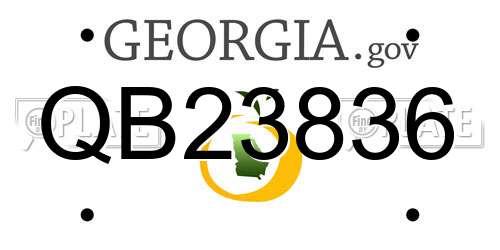 QB23836 Georgia License Plate