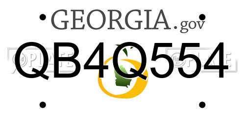 QB4Q554 Georgia License Plate
