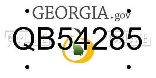 QB54285 Georgia License Plate