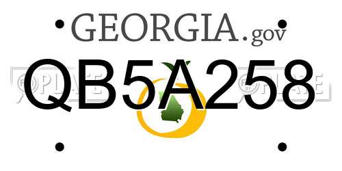 QB5A258 Georgia License Plate