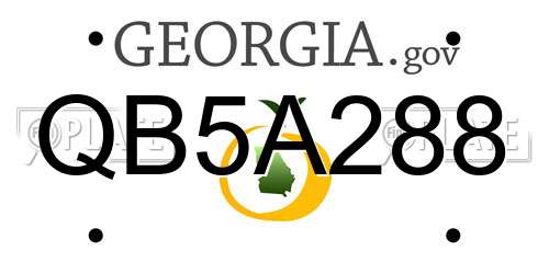QB5A288 Georgia License Plate
