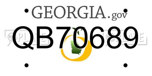 QB70689 Georgia License Plate