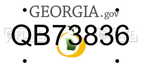 QB73836 Georgia License Plate