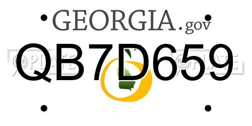 QB7D659 Georgia License Plate