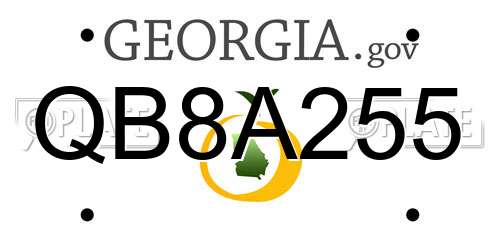 QB8A255 Georgia License Plate
