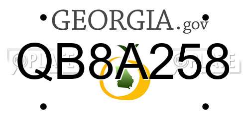 QB8A258 Georgia License Plate