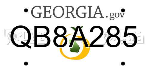 QB8A285 Georgia License Plate