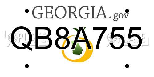 QB8A755 Georgia License Plate