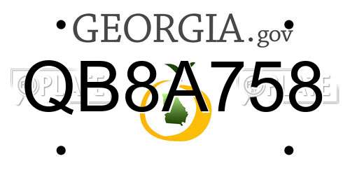 QB8A758 Georgia License Plate