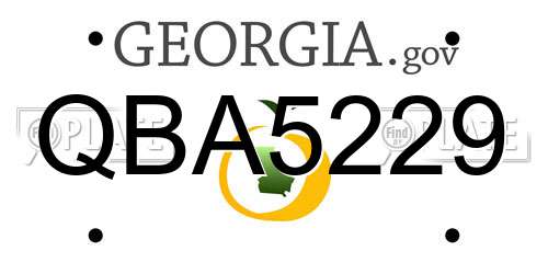 QBA5229 Georgia License Plate