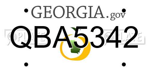 QBA5342 Georgia License Plate