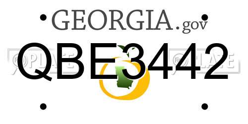 QBE3442 Georgia License Plate