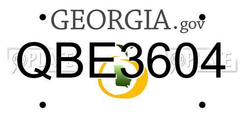QBE3604 Georgia License Plate
